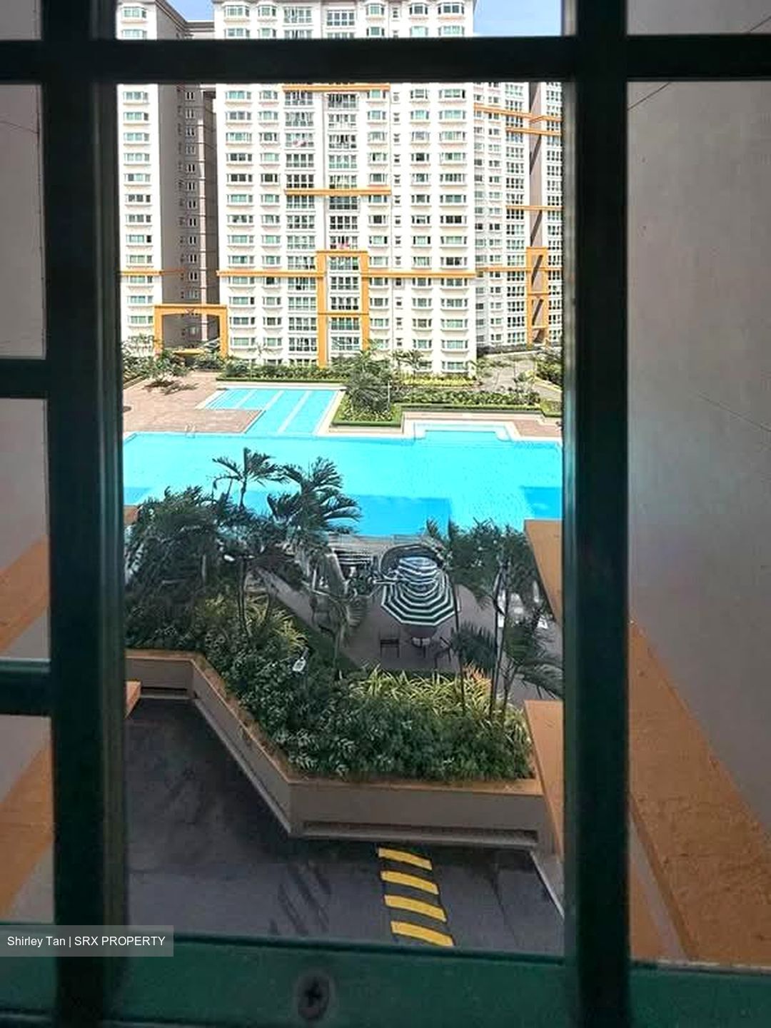 Evergreen Park (D19), Apartment #591615891